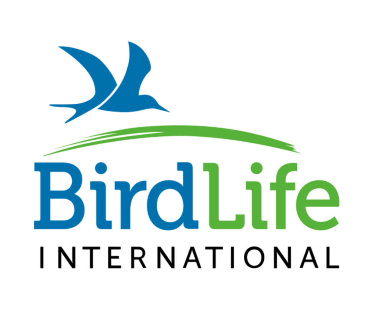 Birdlife